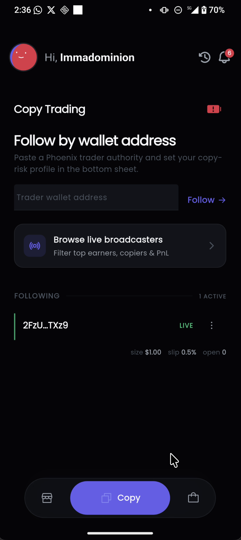 Copy Screen
